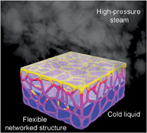 Graphical abstract: Flexible artificially-networked structure for ambient/high pressure solar steam generation