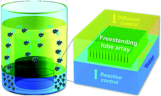 Graphical abstract: Confined molecular motion across liquid/liquid interfaces in a triphasic reaction towards free-standing conductive polymer tube arrays