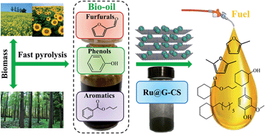 Graphical abstract: Upgrading of aromatic compounds in bio-oil over ultrathin graphene encapsulated Ru nanoparticles