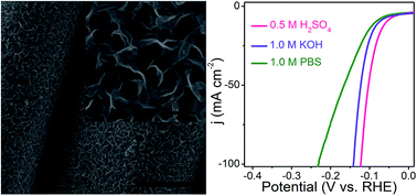 Graphical abstract: A self-standing nanoporous MoP2 nanosheet array: an advanced pH-universal catalytic electrode for the hydrogen evolution reaction