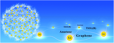 Graphical abstract: Dandelion-shaped TiO2/multi-layer graphene composed of TiO2(B) fibrils and anatase TiO2 pappi utilizing triphase boundaries for lithium storage