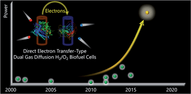 Graphical abstract: Direct electron transfer-type dual gas diffusion H2/O2 biofuel cells