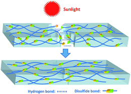 Graphical abstract: Sunlight driven self-healing, reshaping and recycling of a robust, transparent and yellowing-resistant polymer