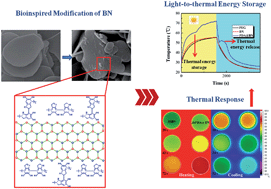 Graphical abstract: Novel photodriven composite phase change materials with bioinspired modification of BN for solar-thermal energy conversion and storage