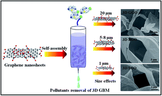 Graphical abstract: Size effects of graphene oxide nanosheets on the construction of three-dimensional graphene-based macrostructures as adsorbents