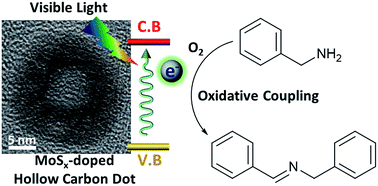 Graphical abstract: Oxygen-mediated formation of MoSx-doped hollow carbon dots for visible light-driven photocatalysis
