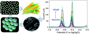 Graphical abstract: A novel hollow sphere bismuth oxide doped mesoporous carbon nanocomposite material derived from sustainable biomass for picomolar electrochemical detection of lead and cadmium