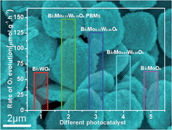Graphical abstract: Facile one-pot solvothermal preparation of Mo-doped Bi2WO6 biscuit-like microstructures for visible-light-driven photocatalytic water oxidation