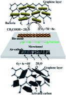 Graphical abstract: A three-dimensional nitrogen-doped graphene aerogel-activated carbon composite catalyst that enables low-cost microfluidic microbial fuel cells with superior performance