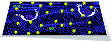 Graphical abstract: High performance bifunctional electrocatalytic activity of a reduced graphene oxide–molybdenum oxide hybrid catalyst