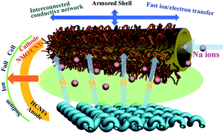 Graphical abstract: A CNT cocoon on sodium manganate nanotubes forming a core/branch cathode coupled with a helical carbon nanofibre anode for enhanced sodium ion batteries