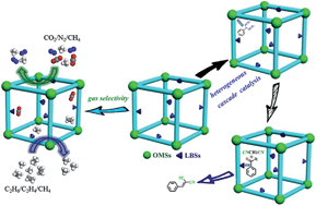 Graphical abstract: A bifunctional metal–organic framework featuring the combination of open metal sites and Lewis basic sites for selective gas adsorption and heterogeneous cascade catalysis