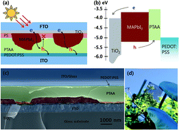 Graphical abstract: Efficiency enhancement of semi-transparent sandwich type CH3NH3PbI3 perovskite solar cells with island morphology perovskite film by introduction of polystyrene passivation layer