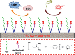 Graphical abstract: One-step bimodel grafting via a multicomponent reaction toward antifouling and antibacterial TFC RO membranes