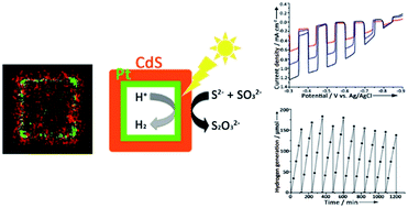 Graphical abstract: Metal–semiconductor double shell hollow nanocubes for highly stable hydrogen generation photocatalysts