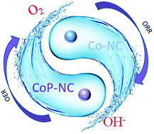 Graphical abstract: ZIF-67-derived Co-NC@CoP-NC nanopolyhedra as an efficient bifunctional oxygen electrocatalyst