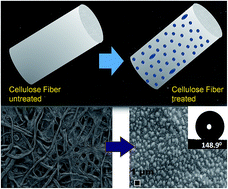 Graphical abstract: Recruiting physisorbed water in surface polymerization for bio-inspired materials of tunable hydrophobicity