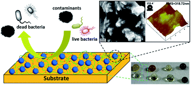 Graphical abstract: Robust liquid-repellent coatings based on polymer nanoparticles with excellent self-cleaning and antibacterial performances