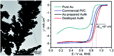 Graphical abstract: Highly active and stable AuNi dendrites as an electrocatalyst for the oxygen reduction reaction in alkaline media