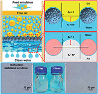 Graphical abstract: Superhydrophilic and underwater superoleophobic nanofibrous membrane with hierarchical structured skin for effective oil-in-water emulsion separation