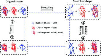 Graphical abstract: Stress memory materials and their fundamental platform