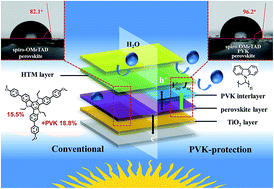 Graphical abstract: A multifunctional poly-N-vinylcarbazole interlayer in perovskite solar cells for high stability and efficiency: a test with new triazatruxene-based hole transporting materials