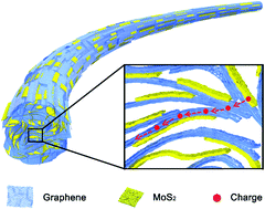 Graphical abstract: An intercalated graphene/(molybdenum disulfide) hybrid fiber for capacitive energy storage