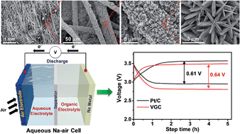 Graphical abstract: Carambola-shaped VO2 nanostructures: a binder-free air electrode for an aqueous Na–air battery