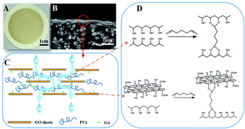 Graphical abstract: Robust construction of a graphene oxide barrier layer on a nanofibrous substrate assisted by the flexible poly(vinylalcohol) for efficient pervaporation desalination