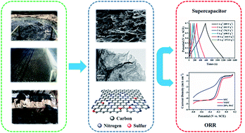 Graphical abstract: Nitrified coke wastewater sludge flocs: an attractive precursor for N,S dual-doped graphene-like carbon with ultrahigh capacitance and oxygen reduction performance
