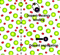 Graphical abstract: Segregation and binding energetics at grain boundaries in fluorite oxides