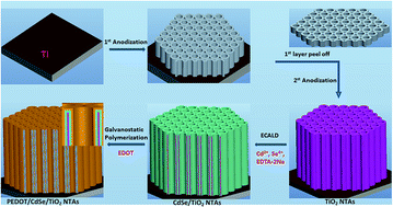 Graphical abstract: Epitaxial hetero-structure of CdSe/TiO2 nanotube arrays with PEDOT as a hole transfer layer for photoelectrochemical hydrogen evolution
