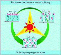Graphical abstract: Plasmon-dominated photoelectrodes for solar water splitting