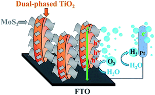 Graphical abstract: Layered MoS2 coupled MOFs-derived dual-phase TiO2 for enhanced photoelectrochemical performance