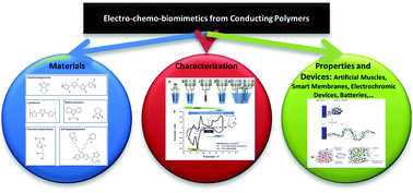 Graphical abstract: Electro-chemo-biomimetics from conducting polymers: fundamentals, materials, properties and devices