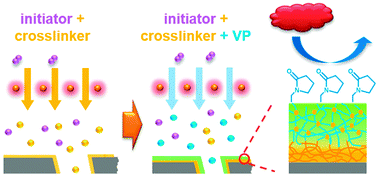Graphical abstract: Vapor-based grafting of crosslinked poly(N-vinyl pyrrolidone) coatings with tuned hydrophilicity and anti-biofouling properties