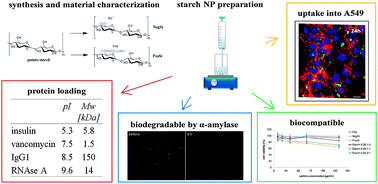 Graphical abstract: Preparation of nanosized coacervates of positive and negative starch derivatives intended for pulmonary delivery of proteins