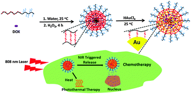 Graphical abstract: An autoreduction method to prepare plasmonic gold-embedded polypeptide micelles for synergistic chemo-photothermal therapy