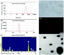 Graphical abstract: Folate-targeted perfluorohexane nanoparticles carrying bismuth sulfide for use in US/CT dual-mode imaging and synergistic high-intensity focused ultrasound ablation of cervical cancer