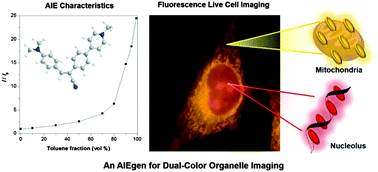 Graphical abstract: A photostable AIEgen for nucleolus and mitochondria imaging with organelle-specific emission