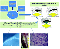 Graphical abstract: Accentuated transdermal application of glucosamine sulphate attenuates experimental osteoarthritis induced by monosodium iodoacetate