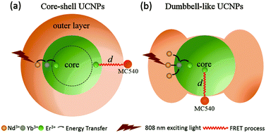 Graphical abstract: Nd3+ sensitized dumbbell-like upconversion nanoparticles for photodynamic therapy application
