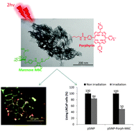 Graphical abstract: Mesoporous silicon nanoparticles for targeted two-photon theranostics of prostate cancer