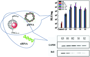 Graphical abstract: Partially PEGylated dendrimer-entrapped gold nanoparticles: a promising nanoplatform for highly efficient DNA and siRNA delivery
