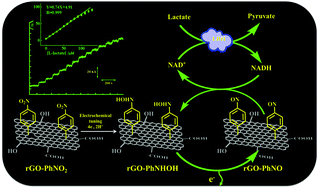 Graphical abstract: Covalent functionalization and electrochemical tuning of reduced graphene oxide for the bioelectrocatalytic sensing of serum lactate