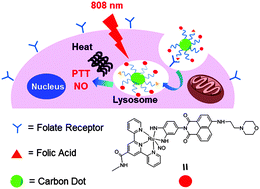 Graphical abstract: A multifunctional nanoplatform for lysosome targeted delivery of nitric oxide and photothermal therapy under 808 nm near-infrared light