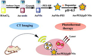 Graphical abstract: Construction of polydopamine-coated gold nanostars for CT imaging and enhanced photothermal therapy of tumors: an innovative theranostic strategy