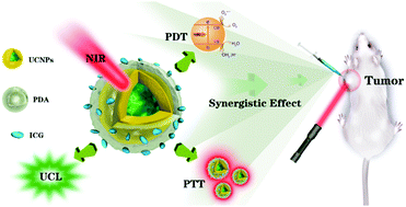 Graphical abstract: Multifunctional UCNPs@PDA-ICG nanocomposites for upconversion imaging and combined photothermal/photodynamic therapy with enhanced antitumor efficacy