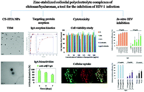 Graphical abstract: Zinc-stabilized colloidal polyelectrolyte complexes of chitosan/hyaluronan: a tool for the inhibition of HIV-1 infection