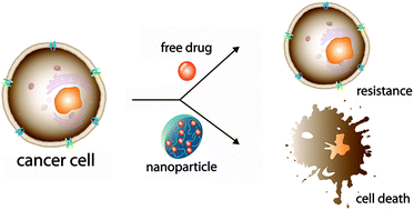 Graphical abstract: How can nanomedicines overcome cellular-based anticancer drug resistance?